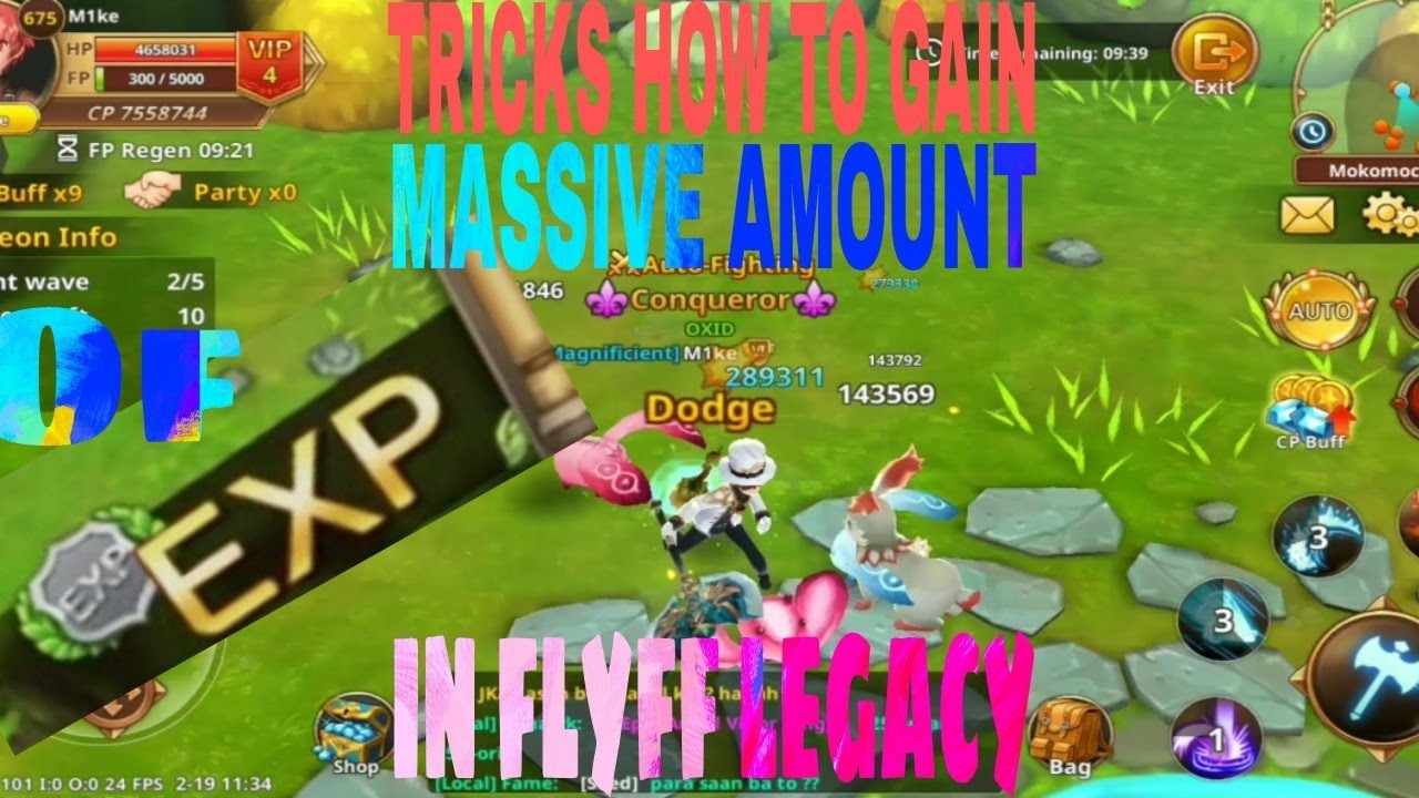FLYFF LEGACY GLOBAL TIPS AND TRICKS ON HOW TO GAIN A MASSIVE AMOUNT OF EXP.