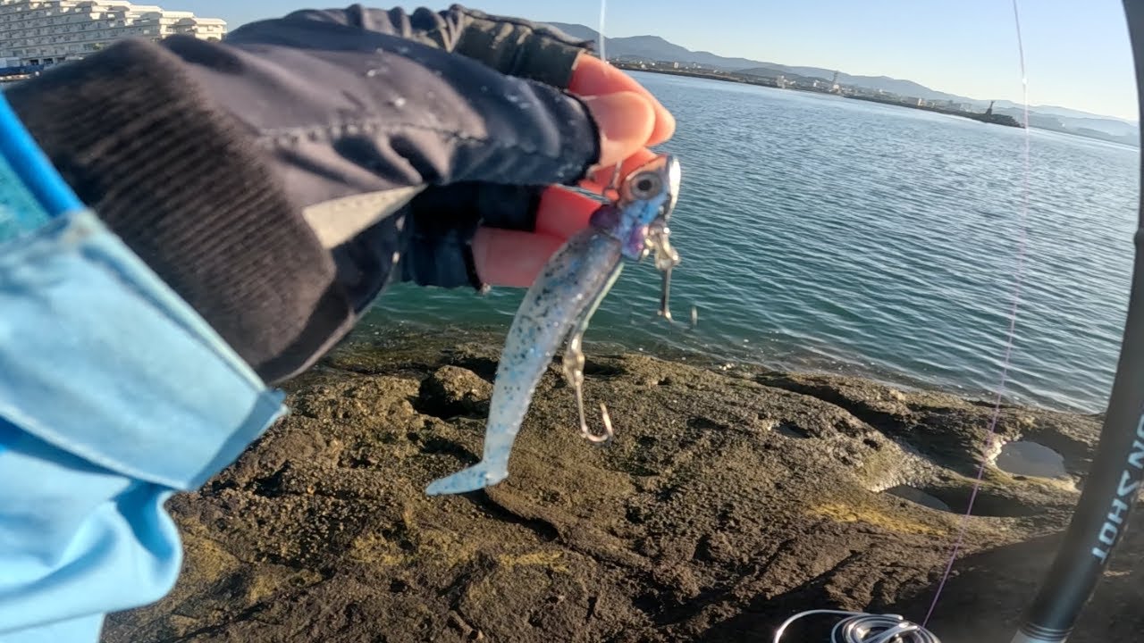 釣りガールが、ダイソーVJとシーバスロッドでロックフィッシュを狙ってみたら・・・【和歌山】