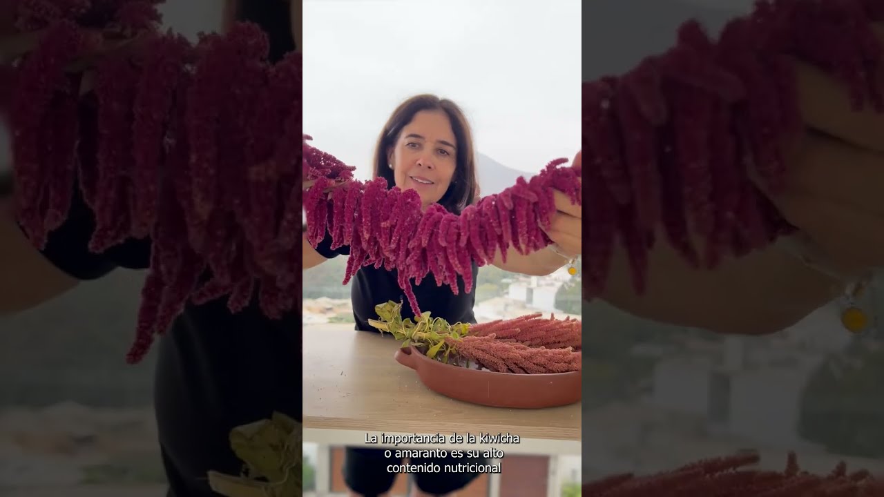 kiwicha documentary  | Peruvian Superfood |Documental de Kiwicha
