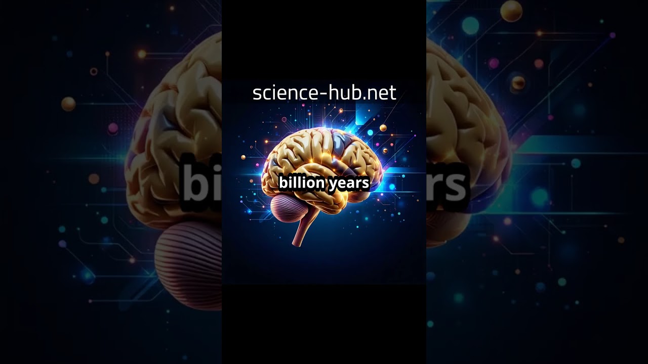 Advancements in Understanding Visual Processing in the Brain