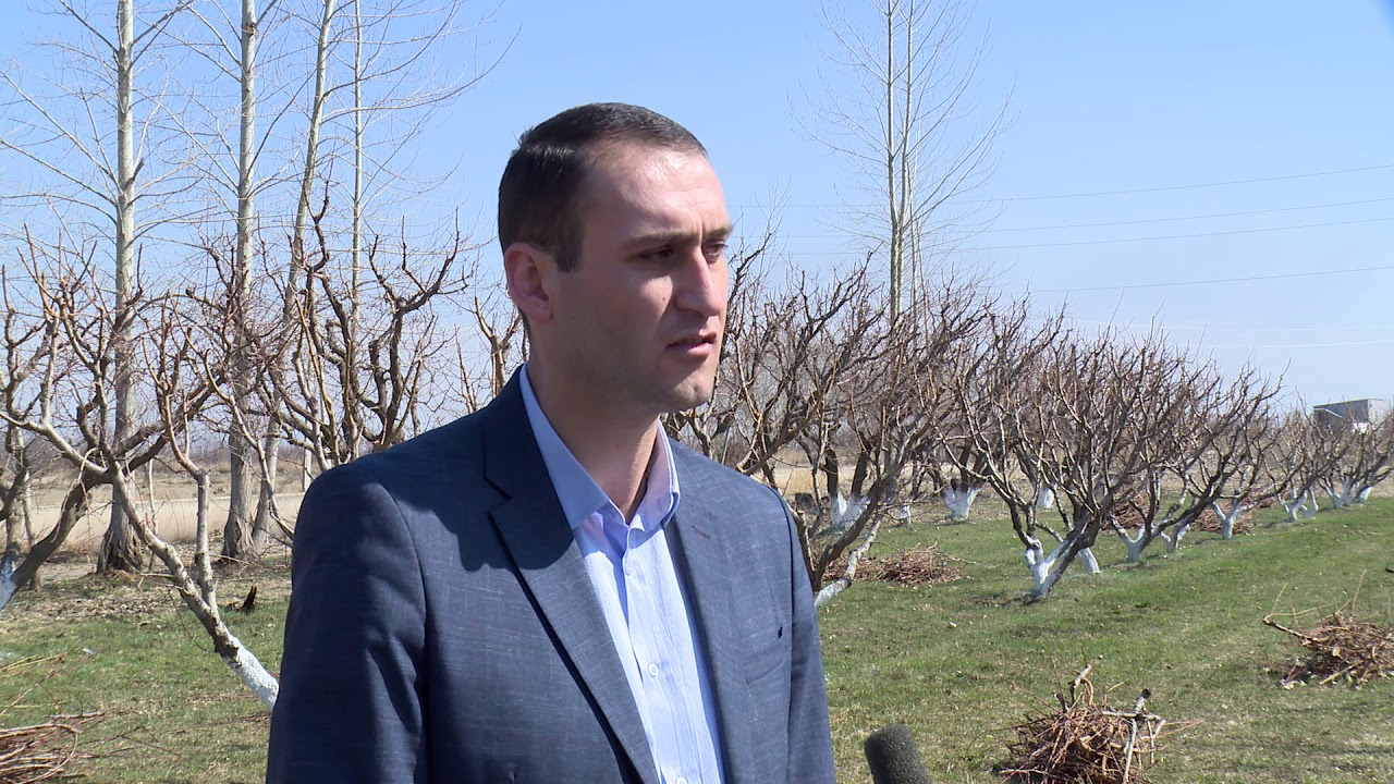 «Պտղատու ծառերի էտ և ձևավորում» թեմայով խմբային դասընթաց Արմավիրում