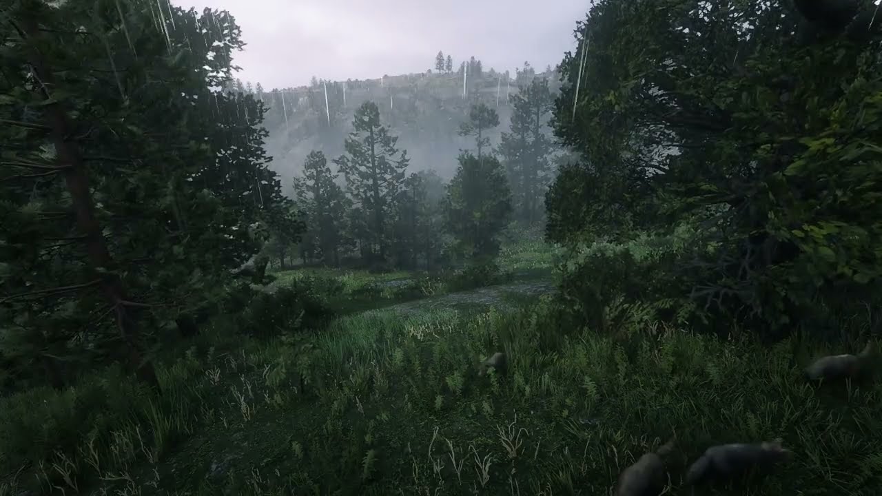 Peaceful Daytime Forest Rain Ambience for Deep Focus & Relaxation