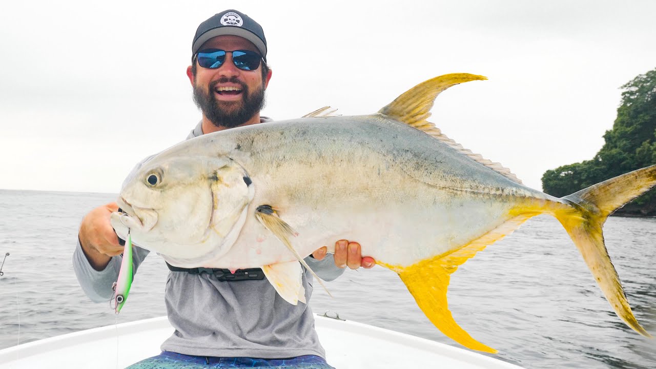 BIG FISH SLAMS Small LURE!