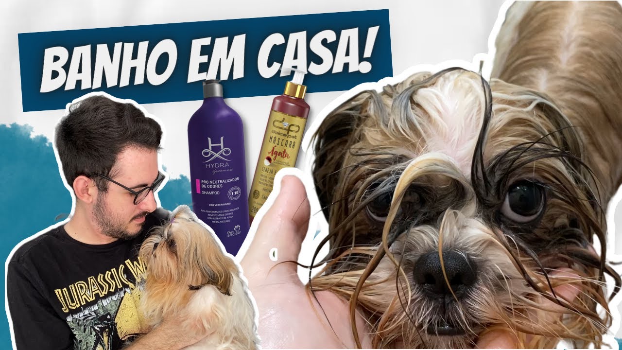 COMO DAR BANHO NO SEU SHIHTZU EM CASA *ATUALIZADO!*
