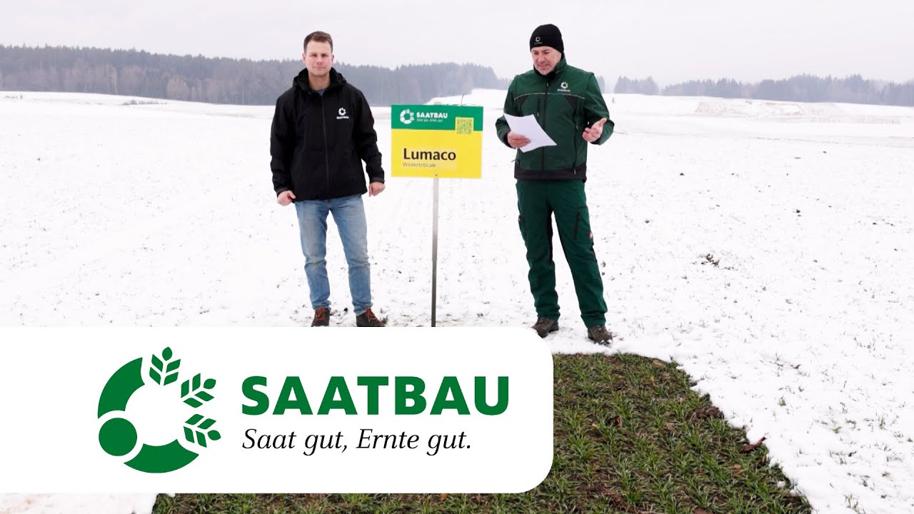 Bestandesführung Triticale 2026