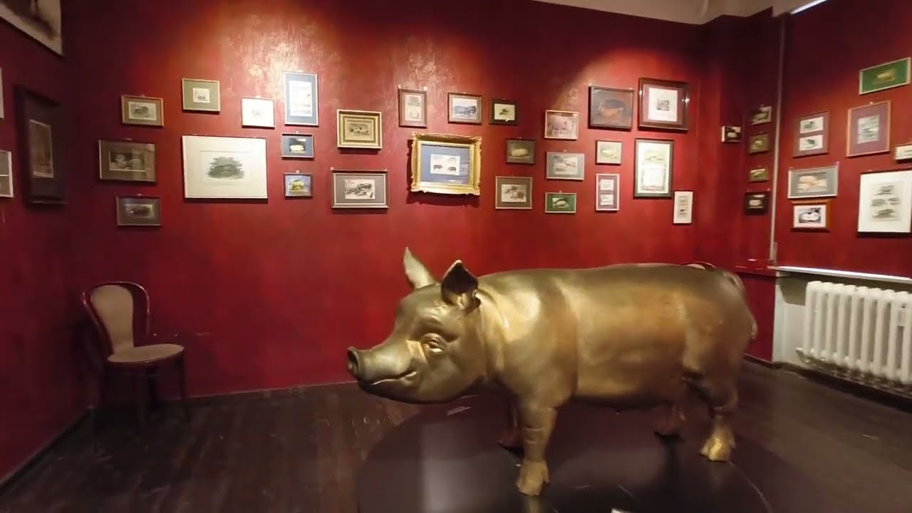 поход в музей царя зверей #museum