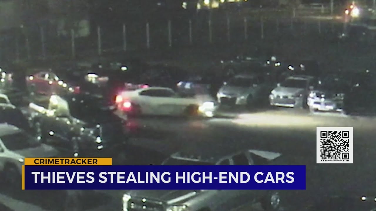 Thieves stealing high-end cars