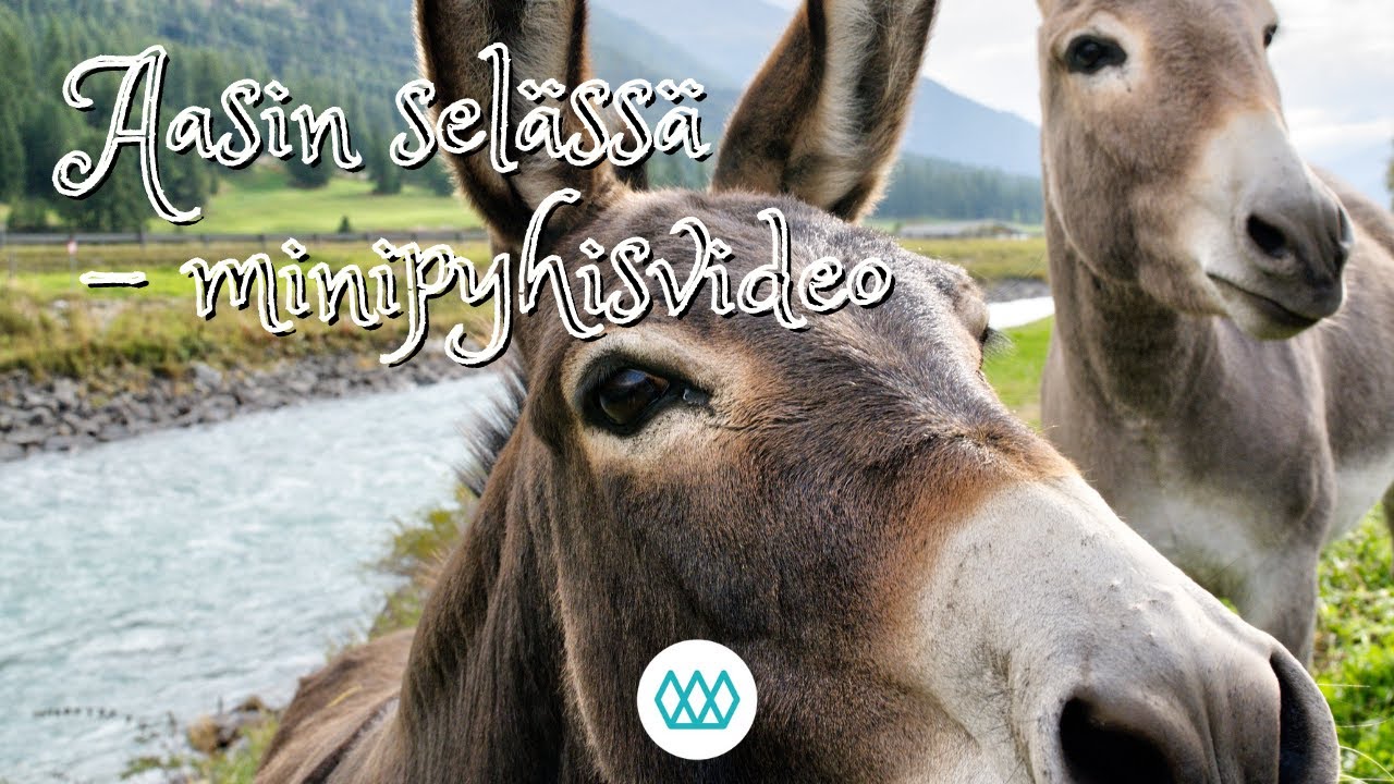 Aasin sel&auml;ss&auml; - minipyhis lapsille