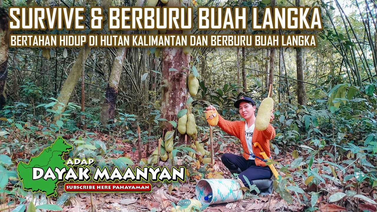 Masuk Hutan Pedalaman Kalimantan, Berburu Buah Lai Langka 🌿 Survival Asli