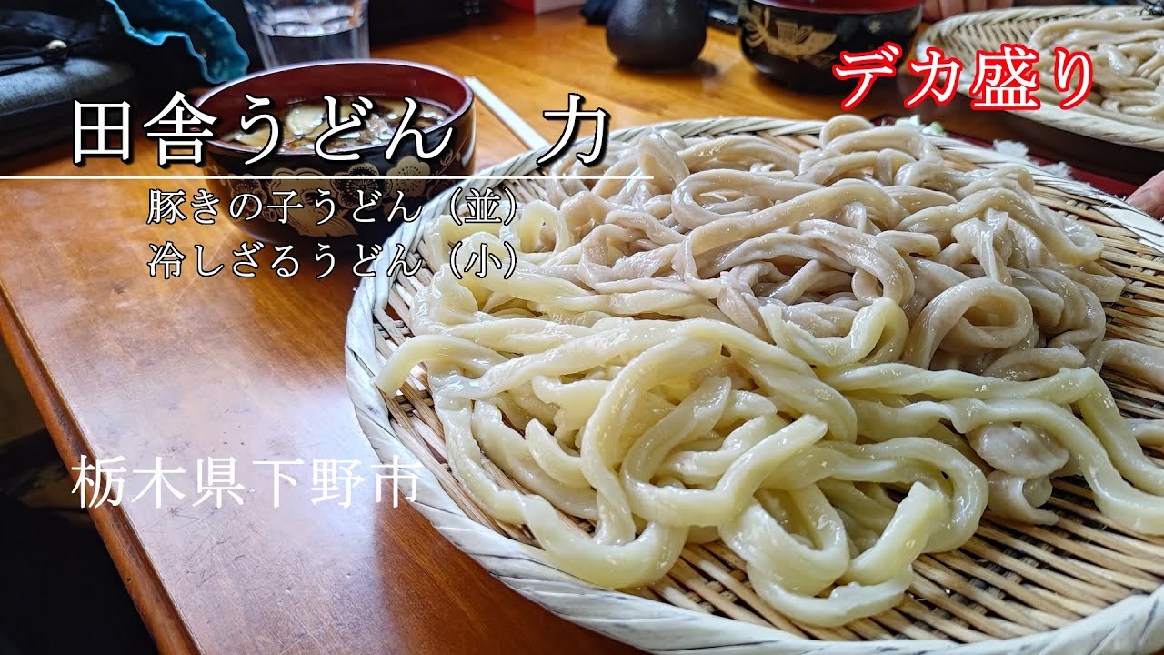 【田舎うどん力】下野市のデカ盛りうどん のほほんEAT #070