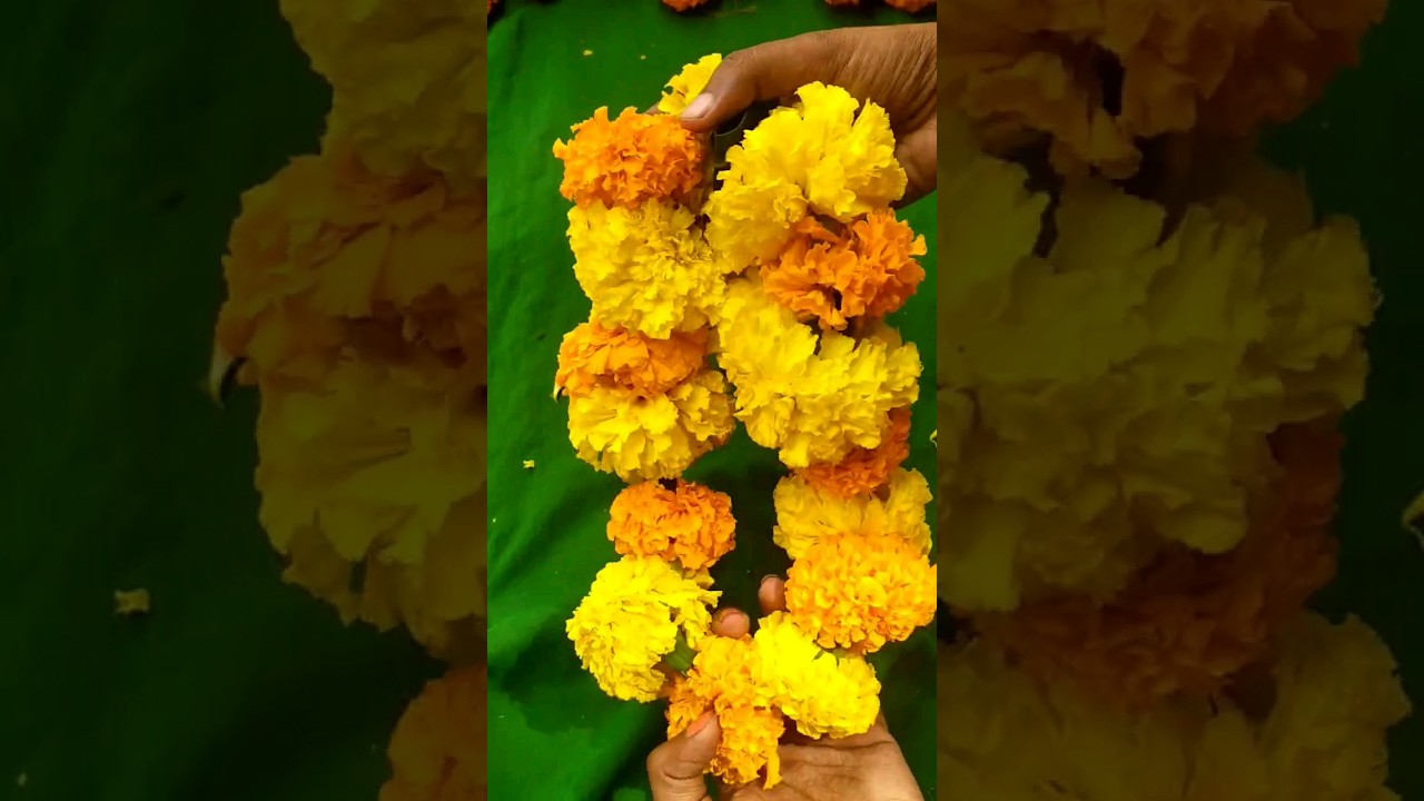 Marigold garland making| festival flower decoration| flower garland 