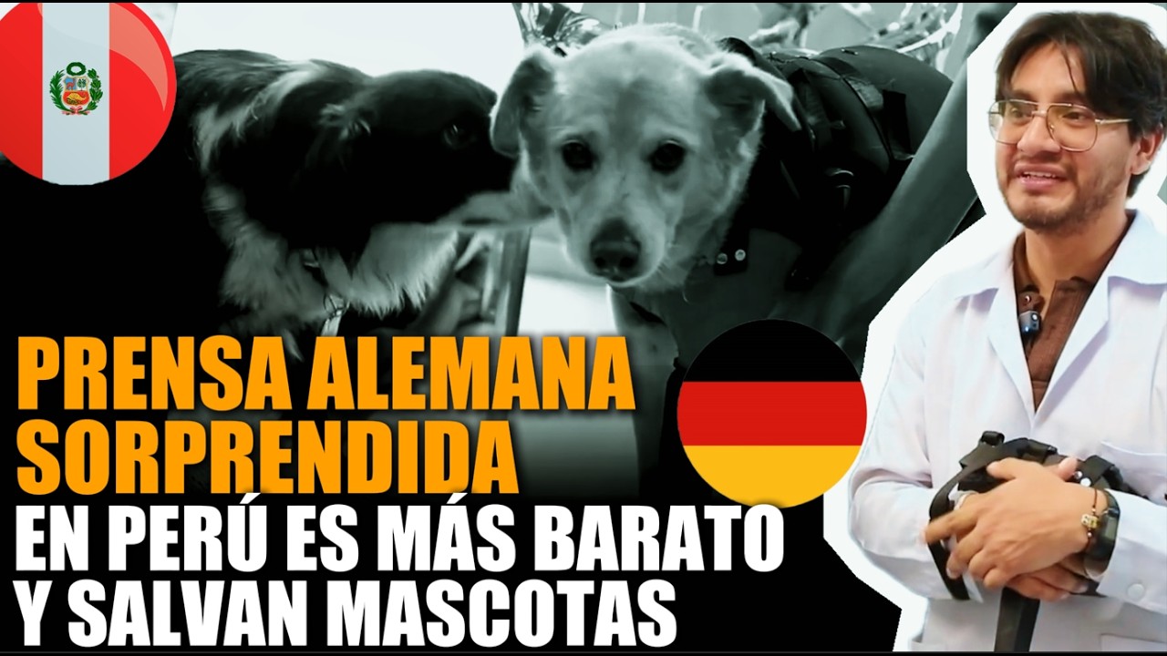 🚨¡ALEMANIA (DW) IMPACTADA CON PERUANOS! | INGENIERÍA QUE SALVA MASCOTAS 🇵🇪🐕