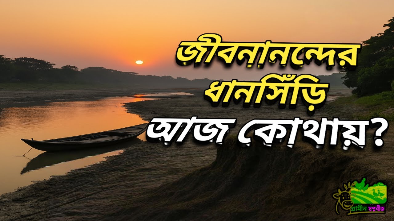 ধানসিঁড়ি নদীর করুণ বাস্তবতা | জীবনানন্দ দাশের কবিতার নদী আজ নিঃশেষ ! Dhansiri River Documentary