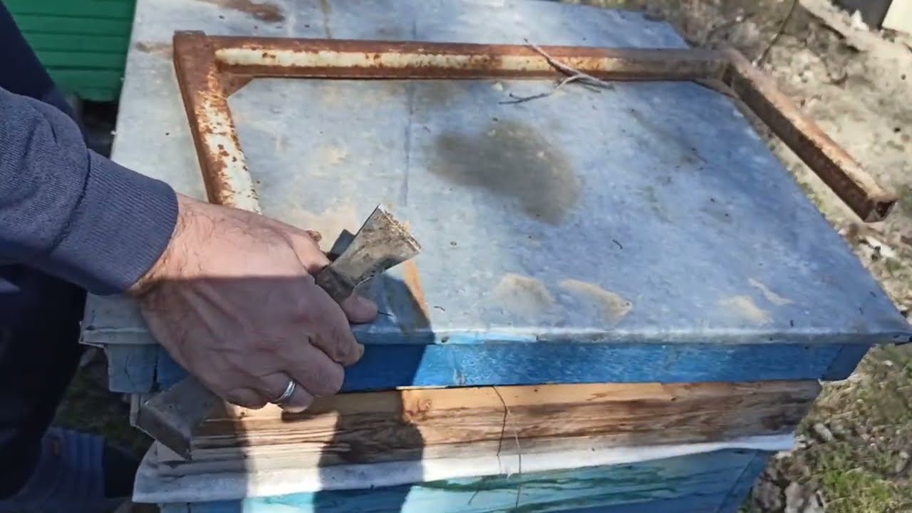 Arılara yaz baxımı. Təbii vasitələrlə dərmanlama. Arılara qulluq. İlk Bahar baxımı. Arı Kovanı
