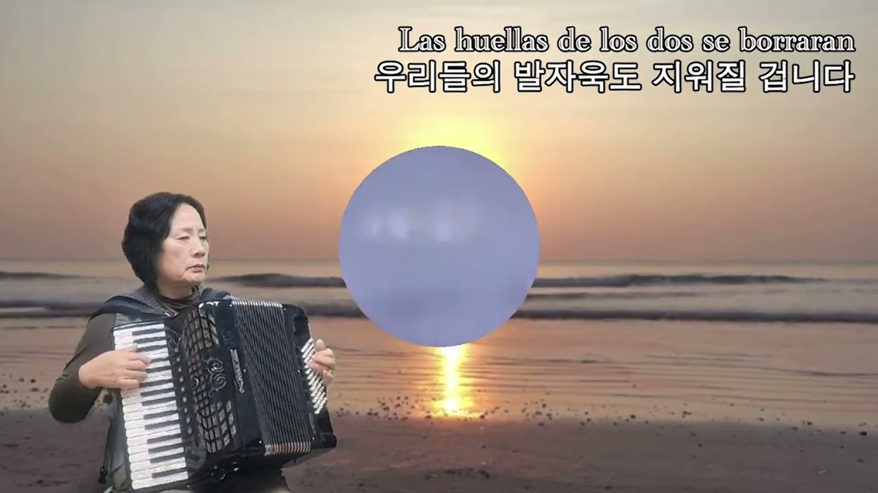 La Playa (라플라야) 안개낀 밤의 데이트 - 정영휘 아코디언연주 (서초아코디언)