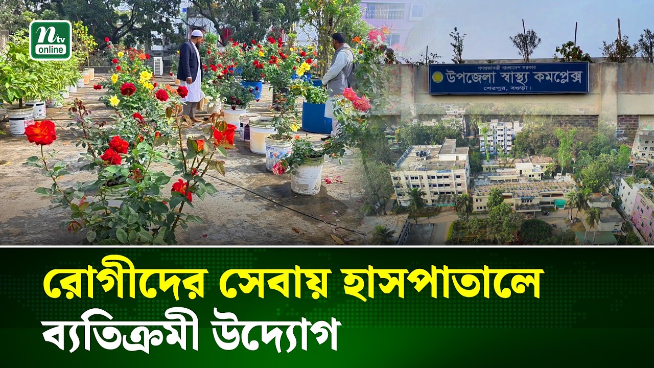 শেরপুর উপজেলা স্বাস্থ্য কমপ্লেক্সে গড়ে তোলা হয়েছে গোলাপের সাম্রাজ্য | Bogura | NTV News