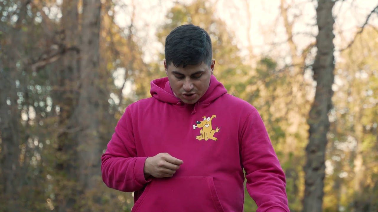 Ako psa naučiť reagovať na meno?