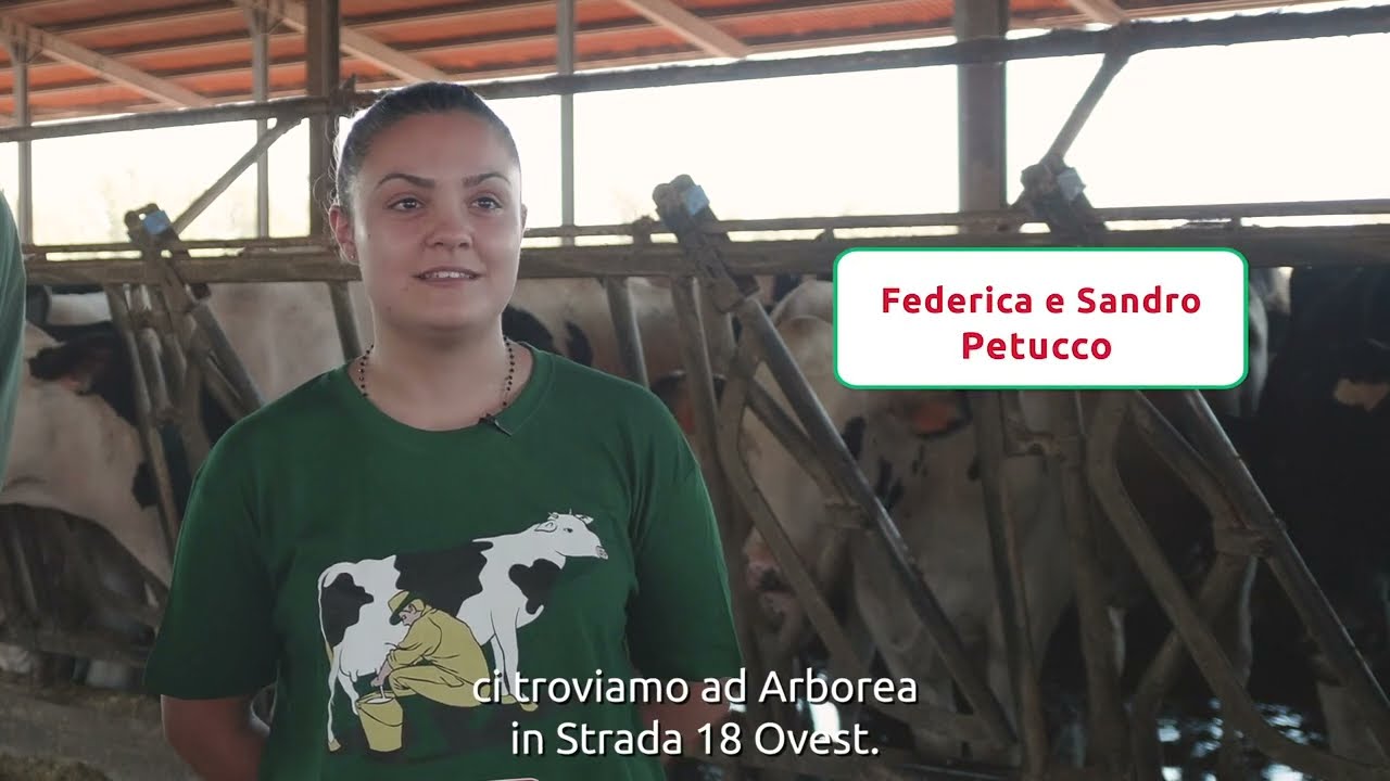 L'Allevatore Racconta: l'esperienza di Arborea con Anion Booster, anionico di ultima generazione.
