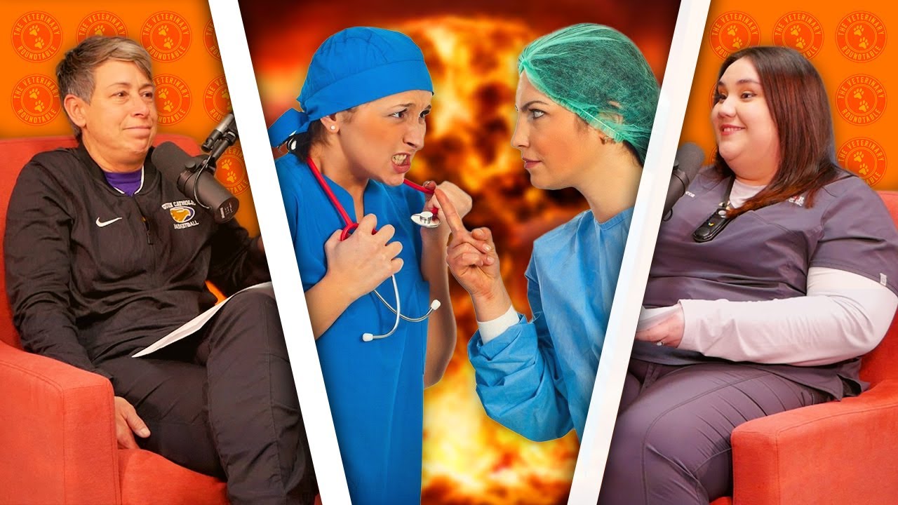 Как решать морально-конфликтные вопросы в ветеринарной медицине