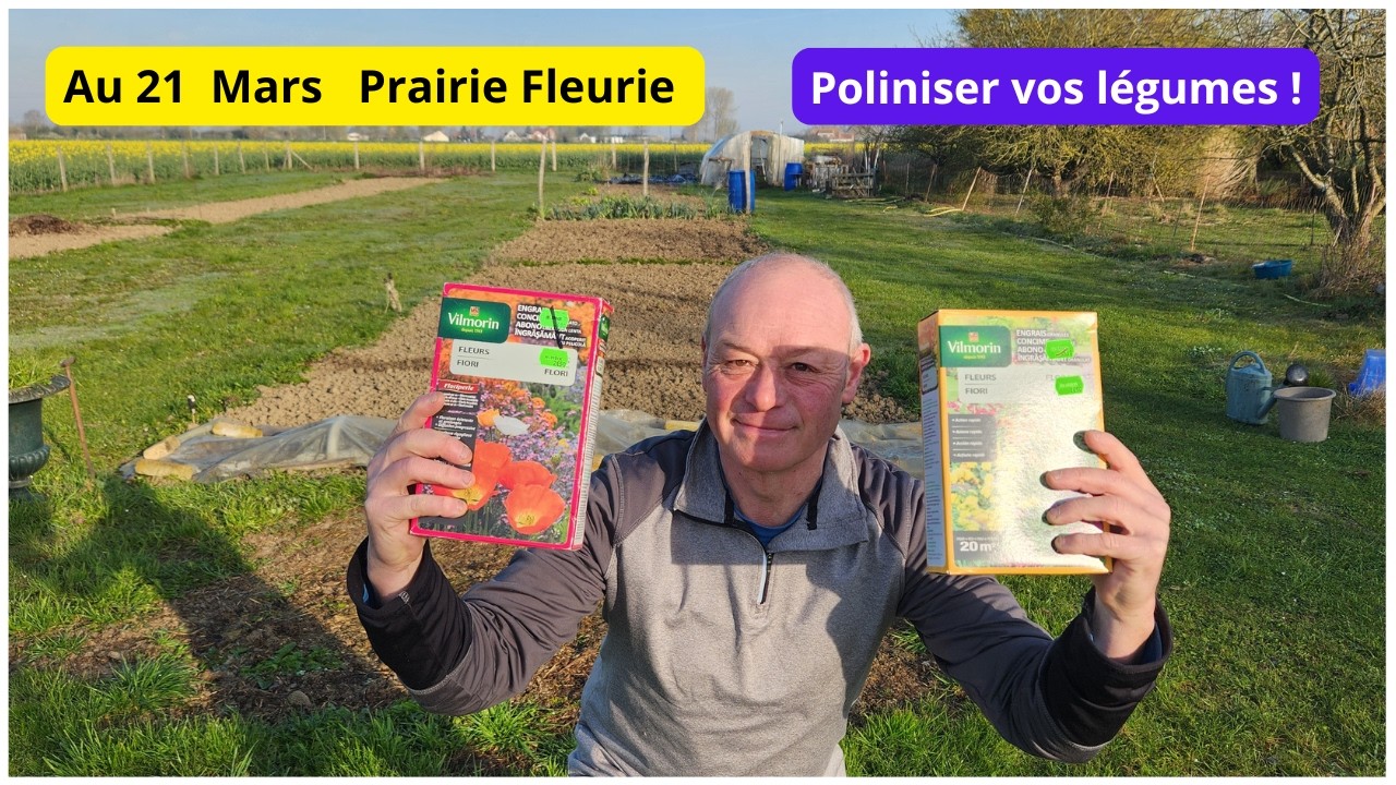 21 mars  au jardin de Philippe