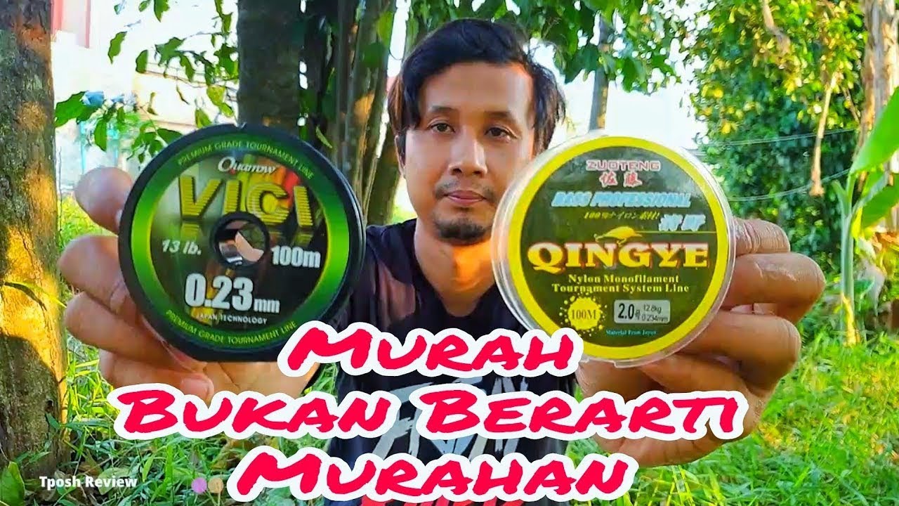 Adu Senar Qingye Vs Quarrow VICI - Harga Murah Bukan Berati Murahan