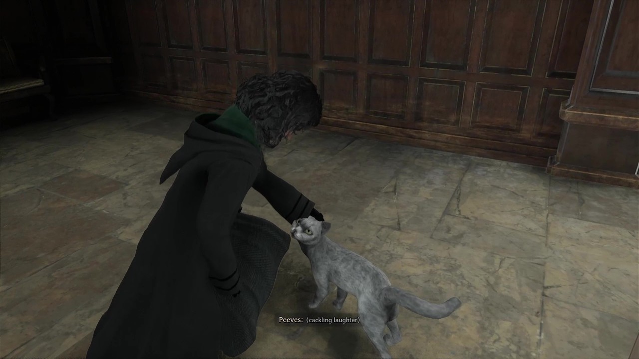 A Slytherin's slumber: No commentary, Just magic PT2