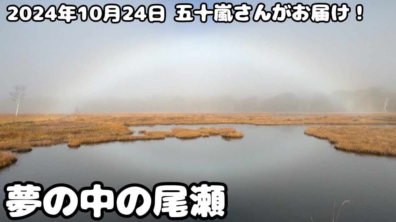 【尾瀬歩荷】五十嵐さんがお届け！幻の世界が広がった日