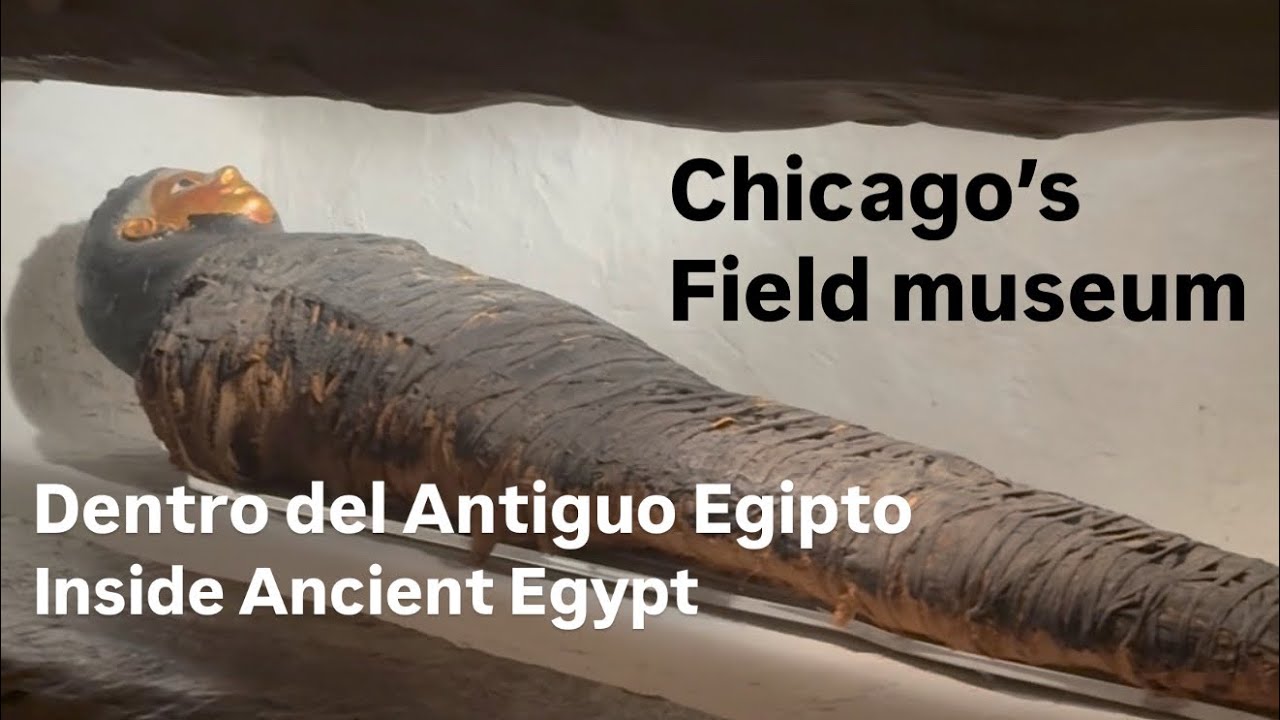 Inside Ancient Egypt Exhibit @ Field Museum, Chicago (Nov 4, 2025)