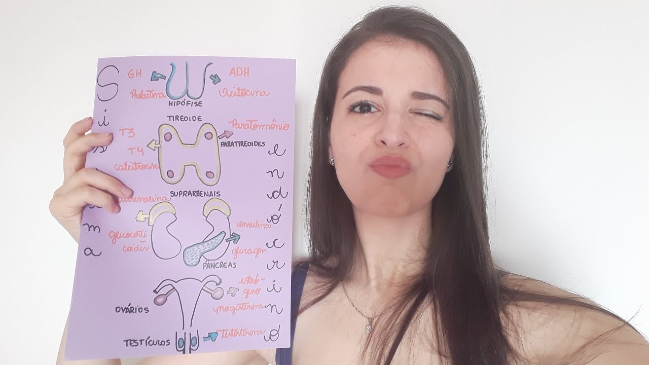 O Sistema Endócrino