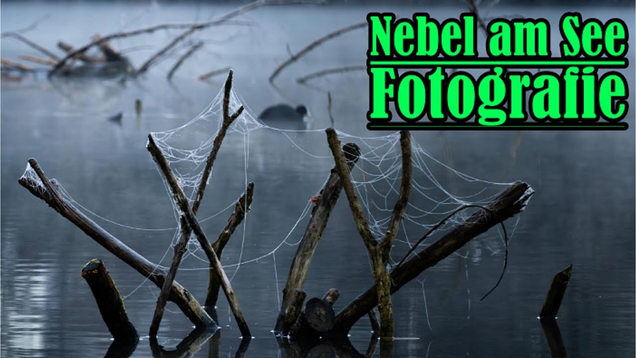 Morgennebel am See – Naturaufnahmen & Fotografie