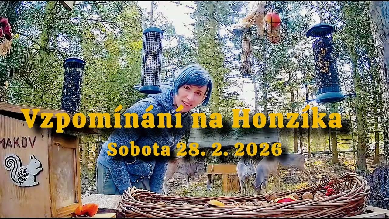 Vzpomínka na Honzíka  + trampoty s volavkama. (Archiv)🎬