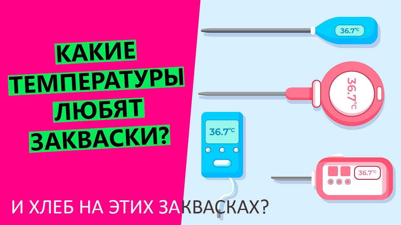Какие температуры🌡🤩 любят закваски? При какой температуре вести заквасочное тесто?