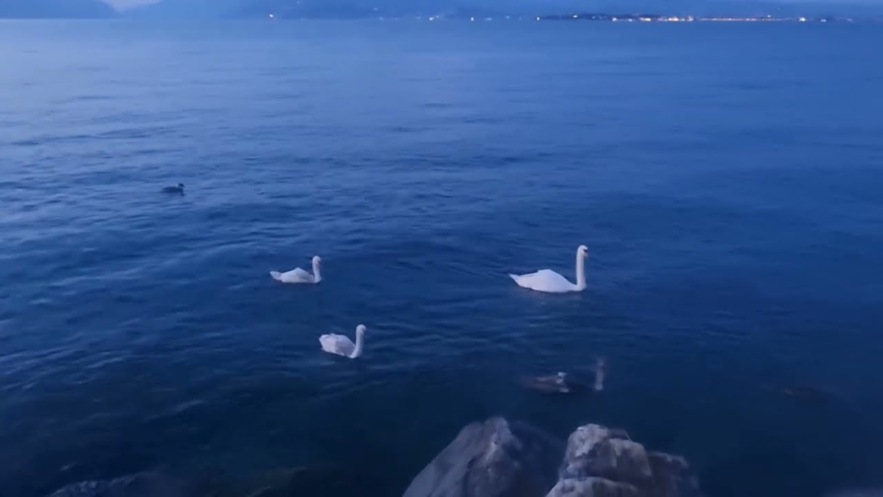 GIORNATA DEL  CUORE - DESENZANO DEL GARDA