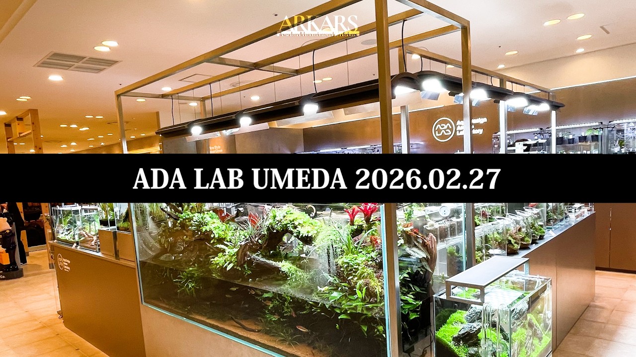 ARKARS_068「ADA LAB UMEDA 2026.02.27」