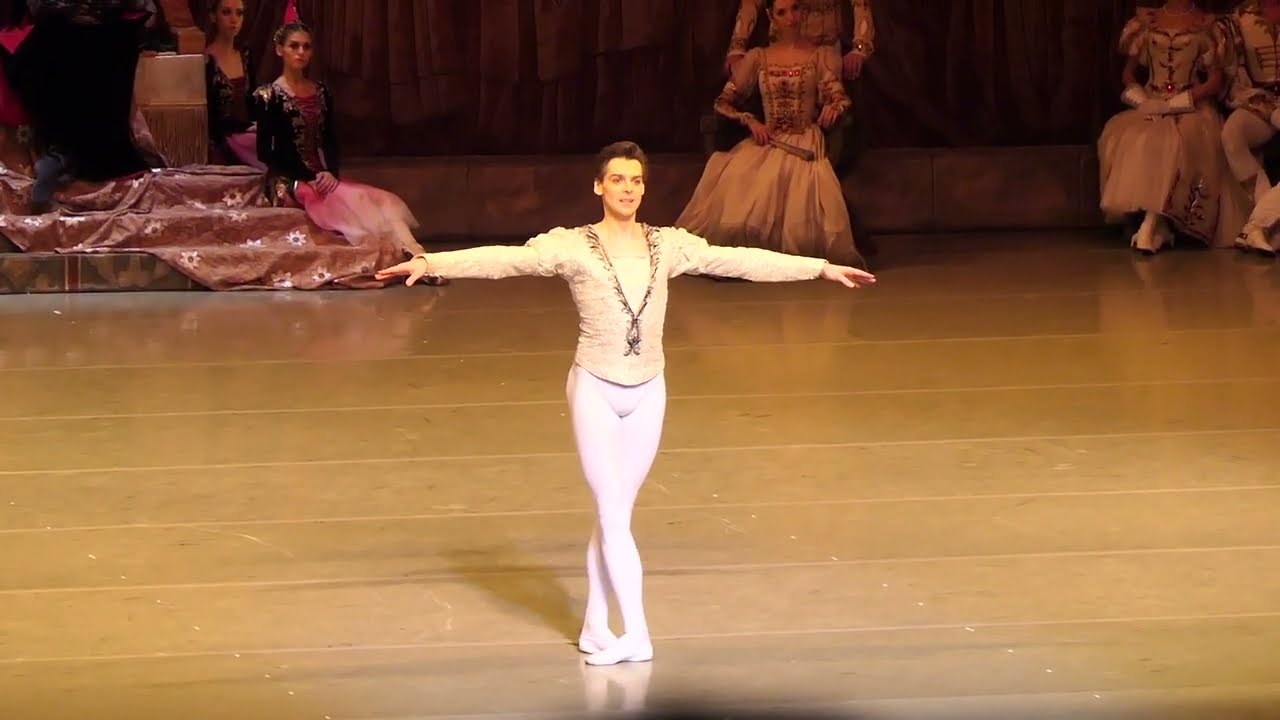 Vladimir Shklyarov-Prince Siegfried Variation Swan Lake Act 3