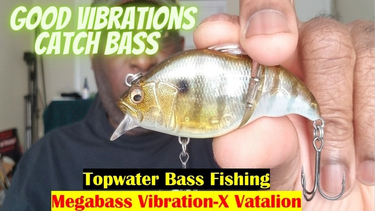 Bank Fishing Bass Lure | Megabass Vibration-X Vatalion #megabass