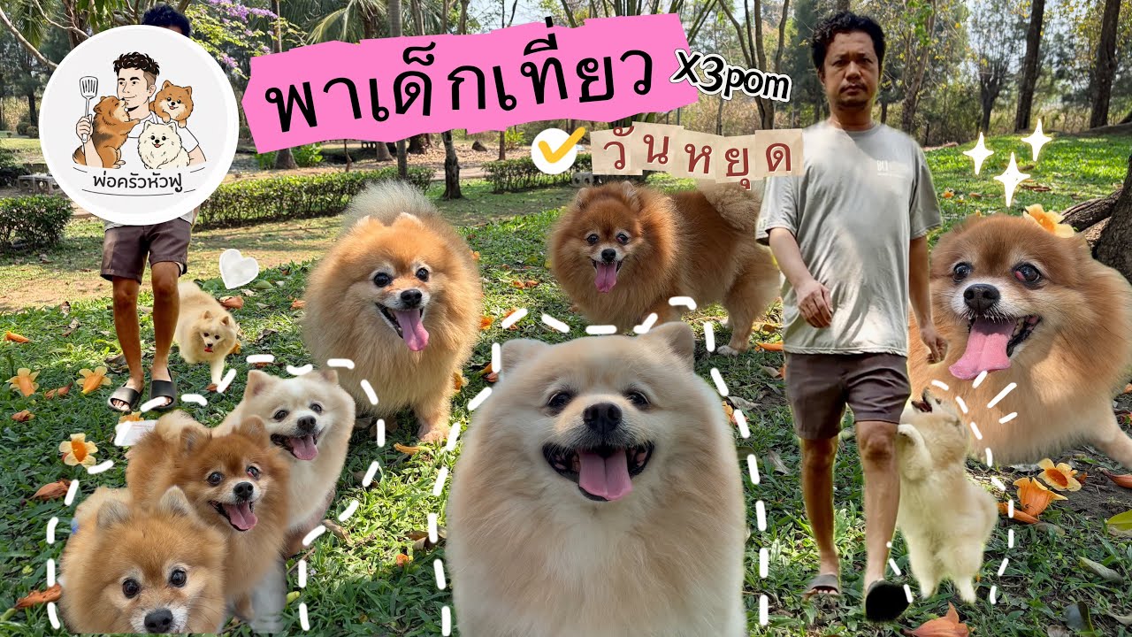 พ่อครัวหัวฟู | พาเด็กเที่ยว!! มีลูก3? 