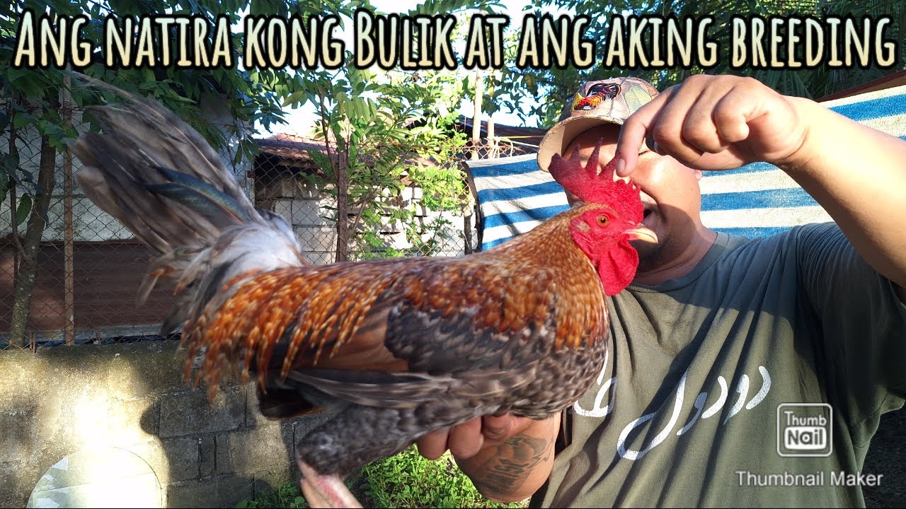 Ang natira kong mga Bulik