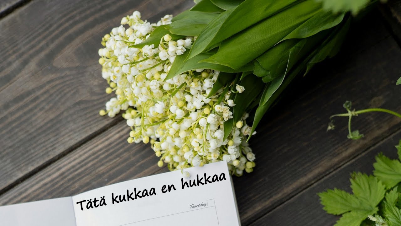 Tätä kukkaa en hukkaa - Mikko Huuhtanen