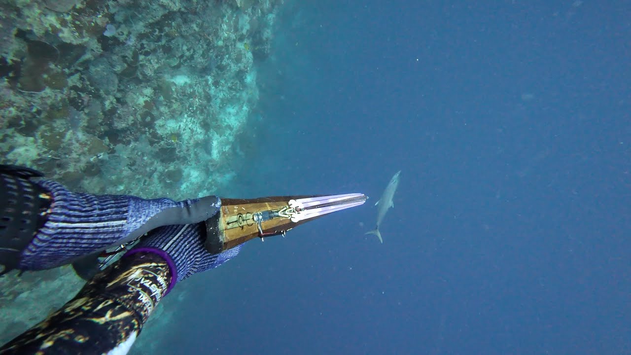Kingmack Dethrone! Early Blessing on a Solo Hunt Spear Fishing! | Tangigi!