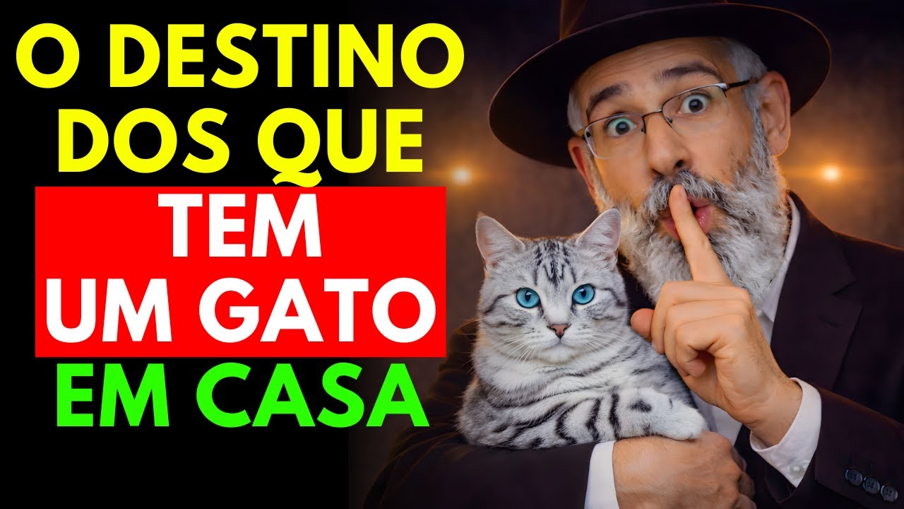O destino sombrio daqueles que têm gatos em casa: não ignore isso! | Sabedoria Judaica
