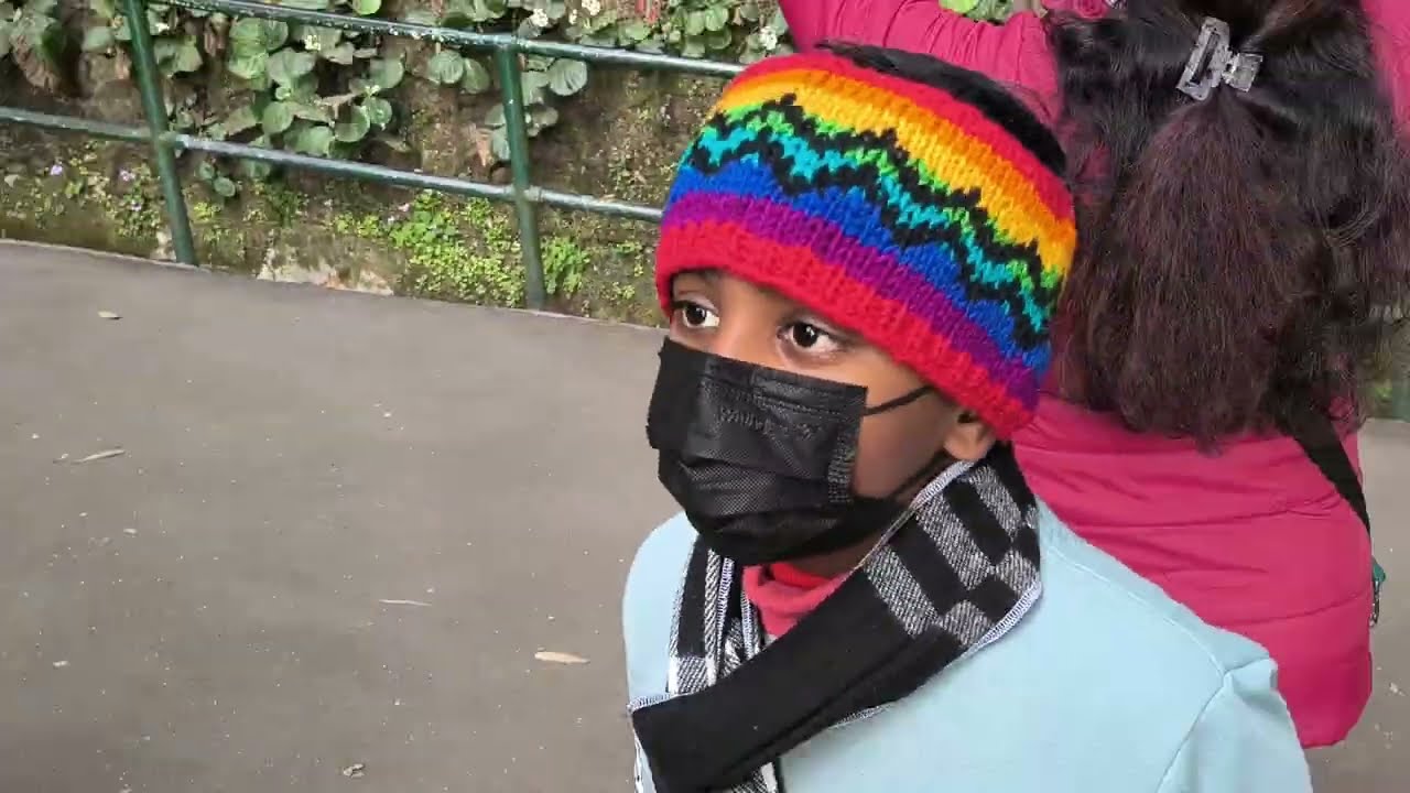 A Day at Padmaja Naidu Himalayan Zoological Park, Darjeeling | Rare Himalayan Wildlife Tour