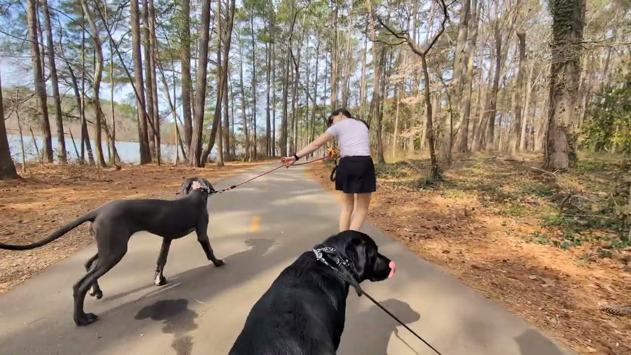 Freya at lake Johnson