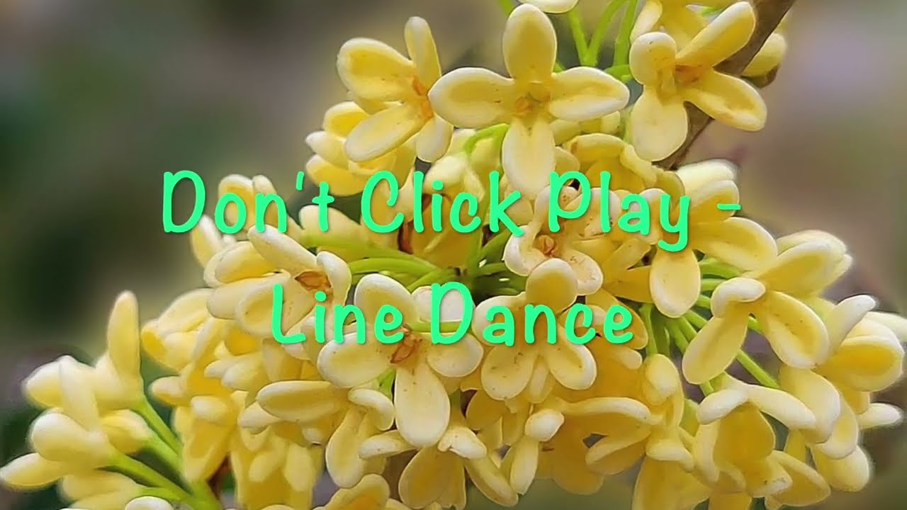 Don't Click Play Line Dance