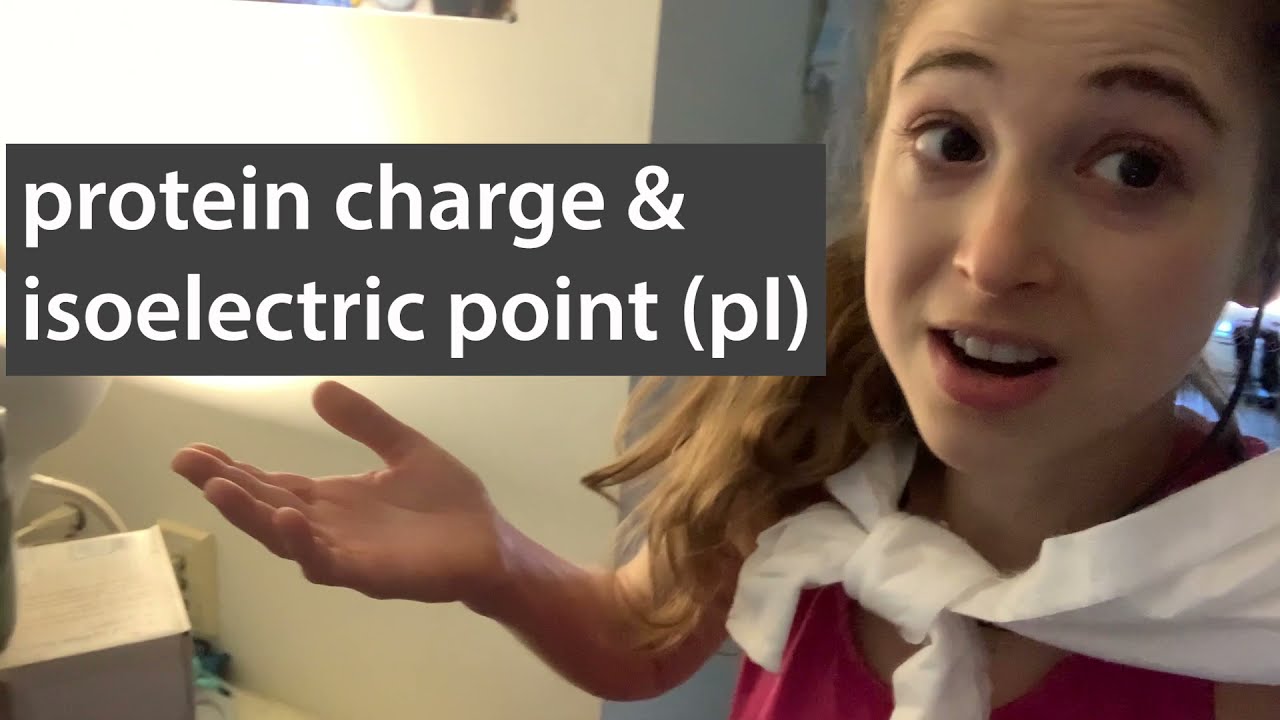Protein charge and isoelectric point (pI) - 