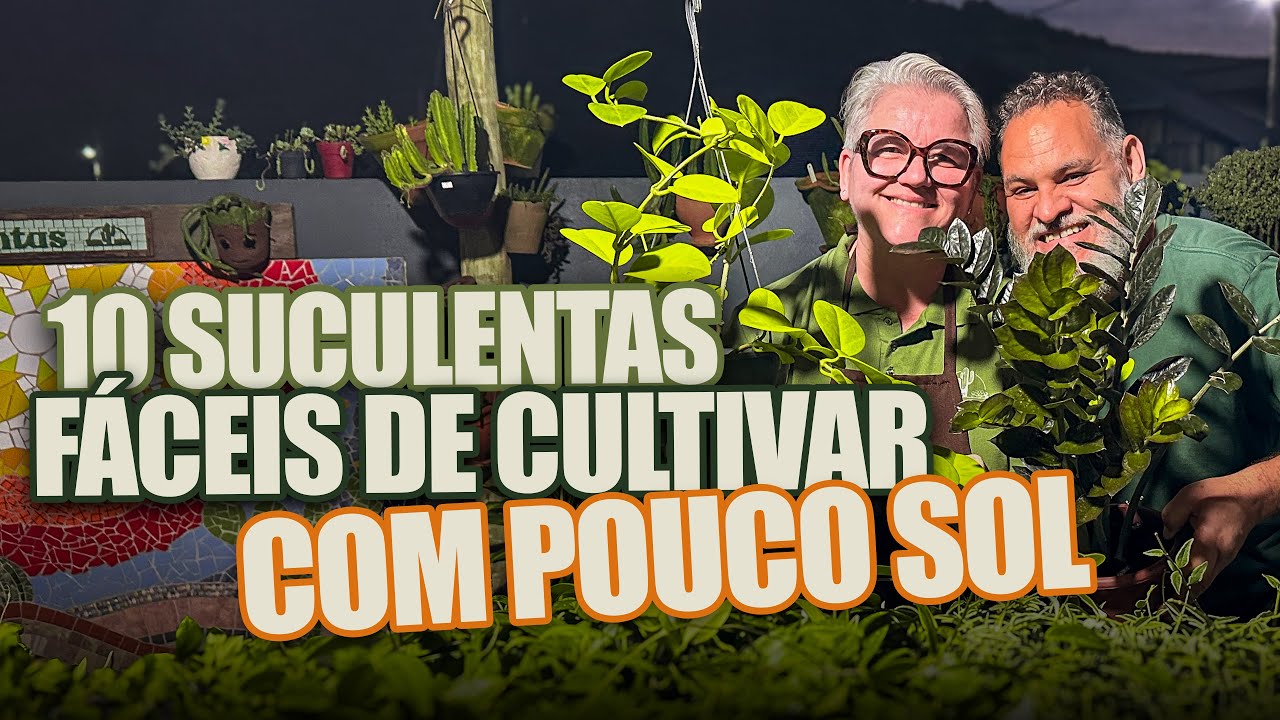 043 | 10 Suculentas de Meia-sombra para cultivar em casa