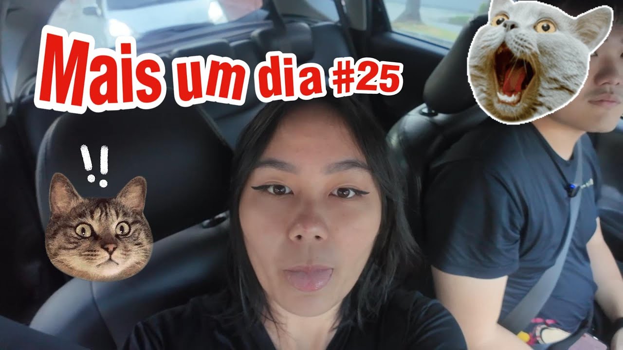 Delicioso Frango - Mais um Dia #25