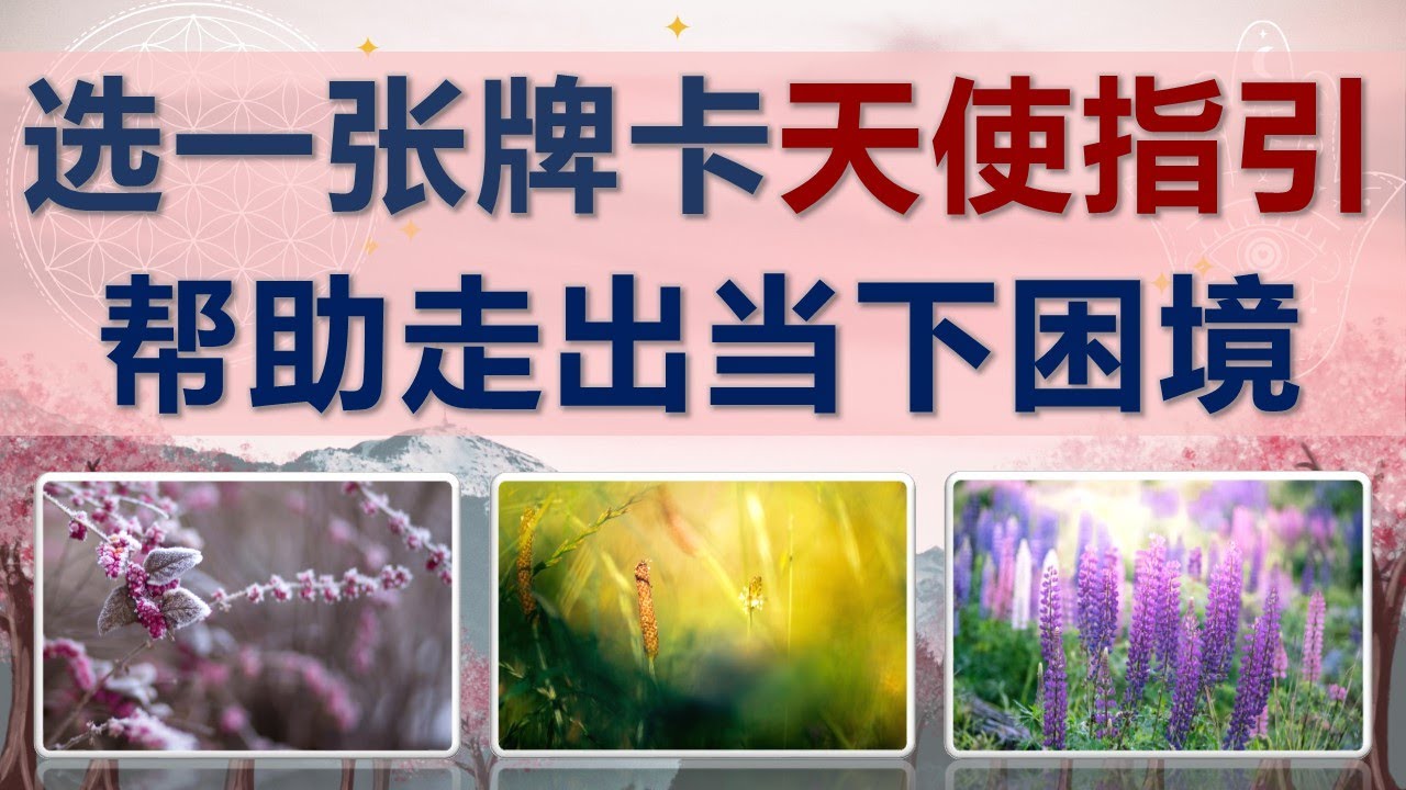 天使指引 走出困境 ❤ 天使👼指導靈🔆高靈🔱宇宙的祝福指引信息💝領取好運🍀無時間限製🕉