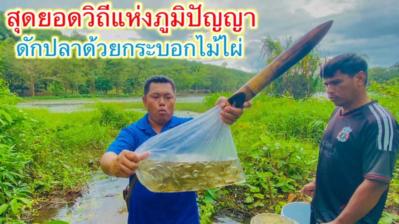 สุดยอดวิถีแห่งภูมิปัญญาพื้นบ้าน หาปลาด้วยกระบอกไม้ไผ่ | วิถีพื้นบ้าน เดลิเวอรี่