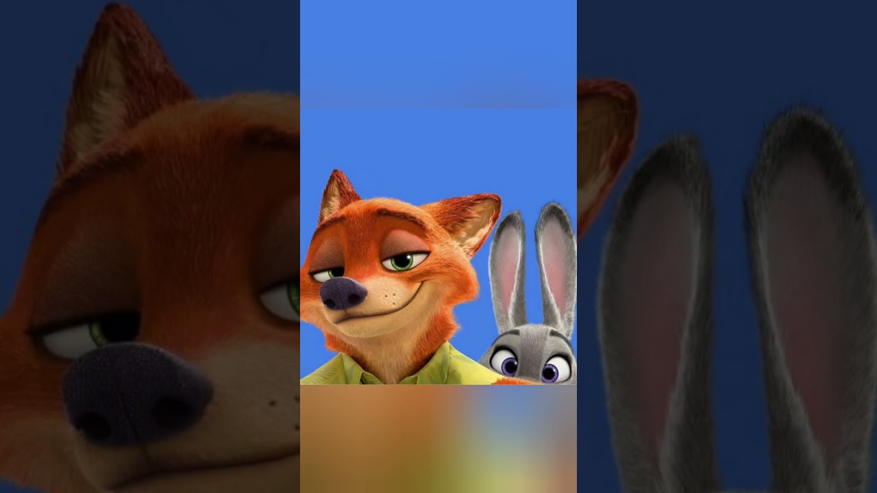 The adventures of the rabbit and the fox#Short #video #movie #picture #cute #funny
